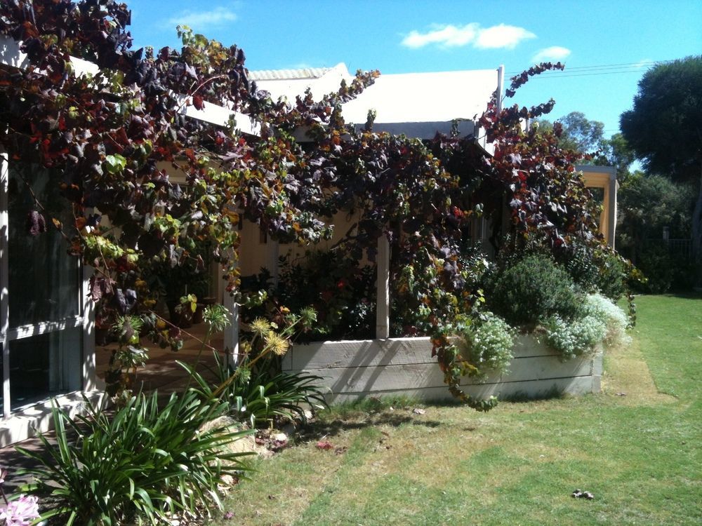 Bellevue Bed & Breakfast Mclaren Vale Luaran gambar