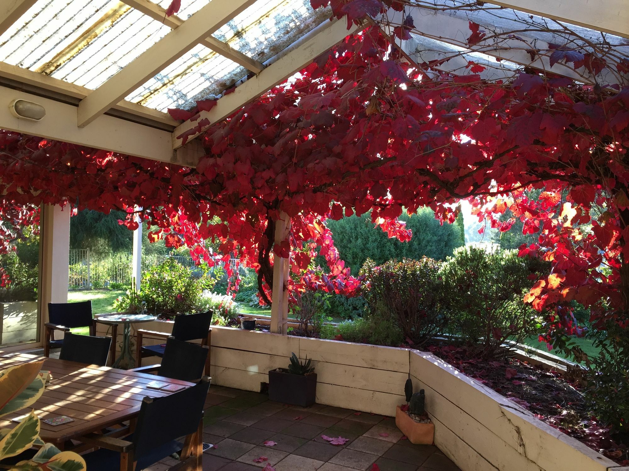 Bellevue Bed & Breakfast Mclaren Vale Luaran gambar